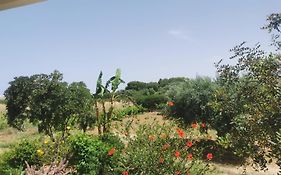 Case Vacanze Baglio Sances